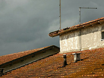 Калининградец может отсудить у нерадивого подрядчика почти полмиллиона рублей