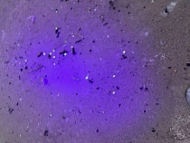 Янтарь вмёрз в пляжи Калининградской области