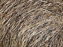 Под Славском огонь уничтожил три тонны сена