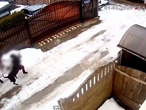 Под Калининградом отец прилип к смартфону при нападении собаки на дочь