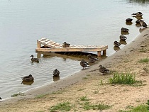 Жители Советска снова изгалялись на знаменитом пляже с видом на Литву