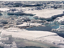 В Калининградской области паводка не будет