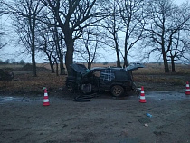 В ДТП под Светлогорском погиб пассажир джипа