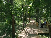 В парке Зеленоградска установили видеокамеры