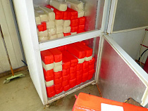 Калининградец хотел съесть 400 кг польского сыра со своей семьёй