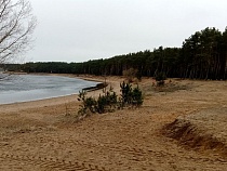 Роспотребнадзор нашёл фекалии в озере у нового пляжа в Калининграде 