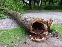 Калининградскую область саданёт циклоном с Атлантики