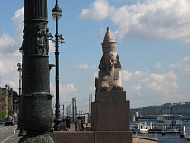 «Нордавиа» запускает дополнительные рейсы из Калининграда в Санкт-Петербург