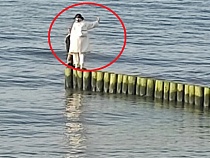 Ради селфи мать вывела своего сына на край волнореза