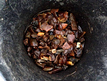 У 13 «черных копателей» обнаружили почти два килограмма янтаря