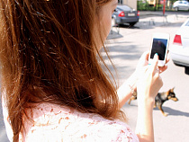 В Калининградской области насчитали 13 тысяч ловцов покемонов