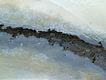 Очевидцы: у Рыбной деревни погибла собака, провалившаяся под лёд