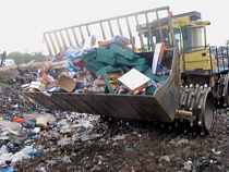 Под Калининградом уничтожено почти 18 тонн киви, клубники и томатов