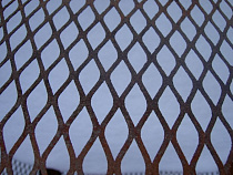 Польское правительство не одобрило строительство забора от АЧС на границе 