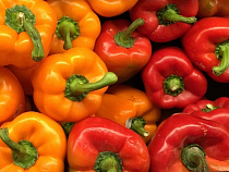 Россиянин замаскировал 21 тонну «санкционки» под конфеты