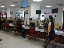 С мая МФЦ начнут прием заявлений от граждан на заготовку древесины