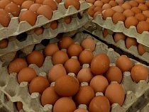 Калининградские производители перешли на яйца из Германии