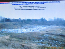 В Нестеровском районе жители выбрасывают мусор прямо на улицу