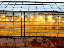 В регионе за 9 месяцев энергетики подключили 42 объекта агропромышленного комплекса