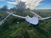 Под Светлогорском с неба упал лёгкий самолёт