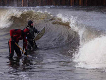Ветер в Калининградской области ускорится до 23 м/с