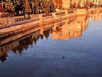 В туристическом месте Калининграда заметили странные разводы 