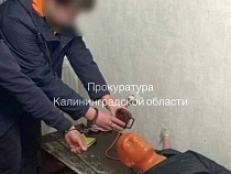 Наказание убивавшему свою мать сыну вынесут в Гурьевске