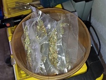 Хозяин особняка в элитном районе Калининграда наживался на наркоманах