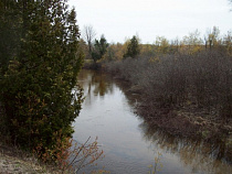 Под Багратионовском нетрезвая женщина хотела перейти реку