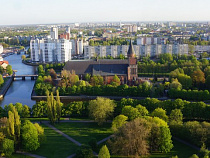 «Прощай, оружие!»: в Калининграде займутся поиском языка мира