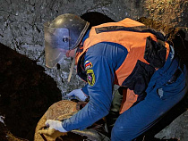 У дороги на Зеленоградск нашли артиллерийский снаряд