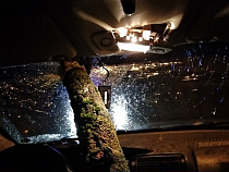 Сук в Калининграде чуть не убил семью