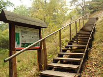 На Куршской косе появится новая смотровая площадка