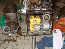 Поляки усилили борьбу с нелегальной добычей янтаря на своей территории 