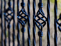 В Янтарном огородили Буковую рощу