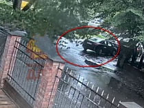 В Калининграде водителя чуть не убило упавшее дерево