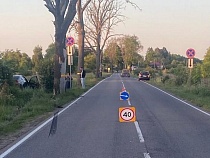 Обгонщик на «Лексусе» врезался в дерево на трассе на Балтийск