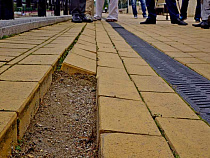 Мэрия: спуски от поликлиники на Набережную адмирала Трибуца сделают к декабрю 2018 года 