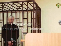 2-летнего в Железнодорожном убил водитель-наркоман