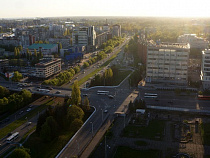 Эпизоотическая ситуация в Калининградской области оценивается как благополучная