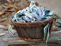 Под Калининградом наемный работник опустошил тайник работодателя