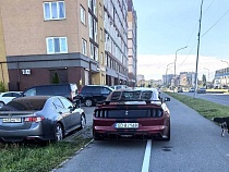 Поляк на «Мустанге» обнаглел в Калининграде 