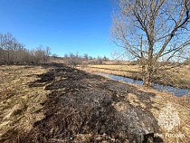 Под Черняховском мужик проложил путь к чернозёму поджогом травы