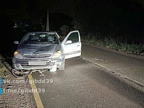 Под Зеленоградском на дороге «Ситроен» в темноте сбил пешехода