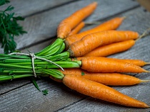 Алиханов анонсировал снижение цен на морковь в Калининградской области