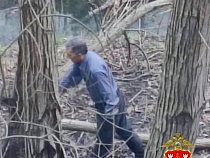 В Калининграде ищут в одиночку спилившего 21 дерево в парке 