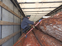 Импорт в Калининградскую область по сравнению с прошлым годом увеличился в 1,3 раза