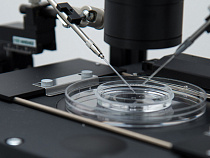 ФМС отказался возмещать 1 млн рублей за ЭКО фирме Сергея Лебедева