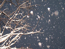 Из-за непогоды «Победа» отменила рейсы из Калининграда в Москву