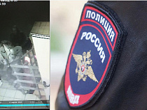 Полицейские ищут причастных к краже в “Океане”